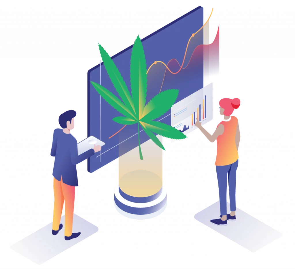 cannabis SEO